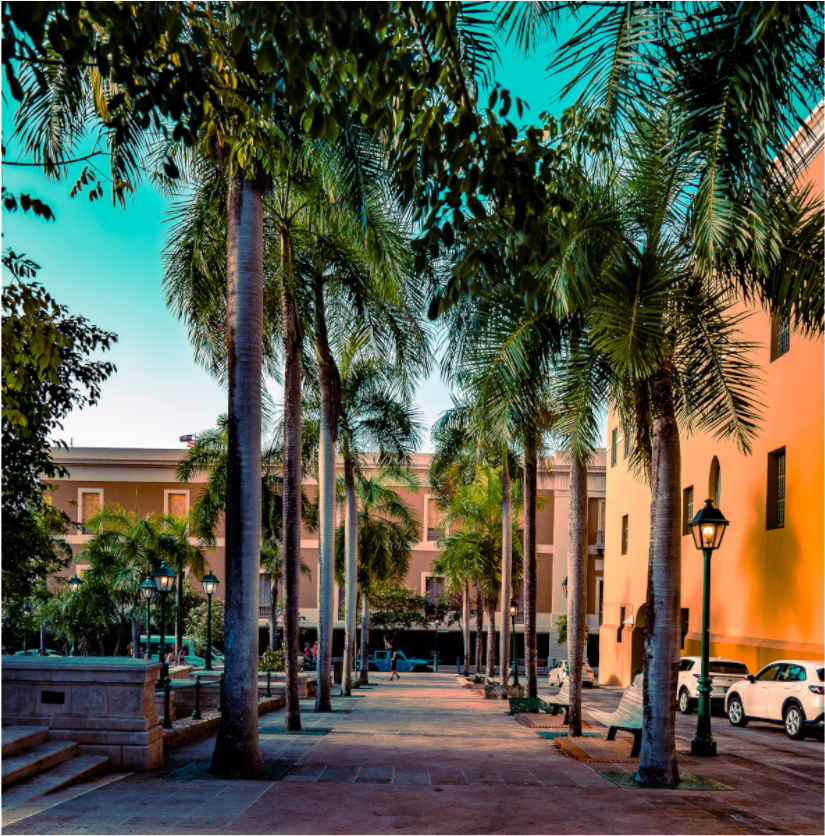 San Juan Collection – Light, Color, and Quiet Magic