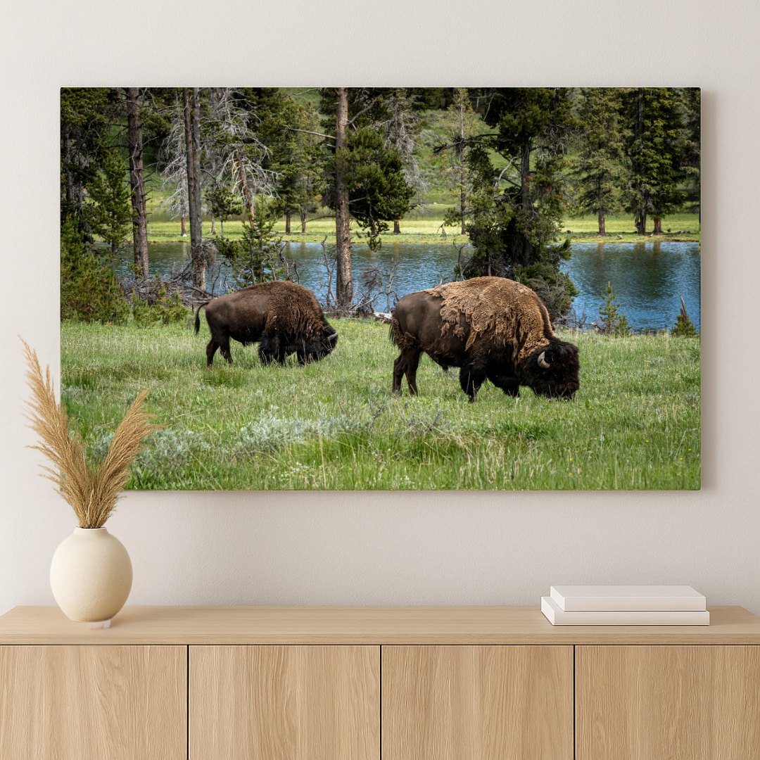 Horizontal Orientation