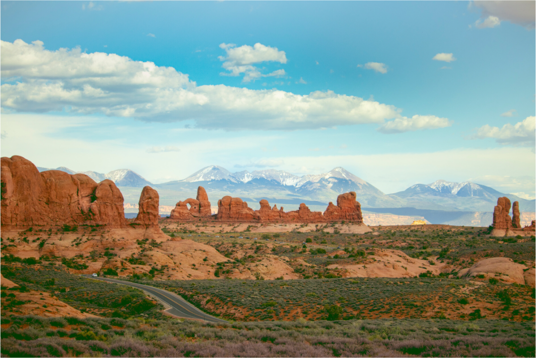 Desert Reverence – Wild Earth, Endless Sky