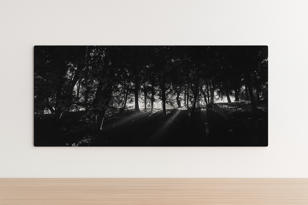 The Light – Paris Photography Print | Peaceful Nature Wall Art