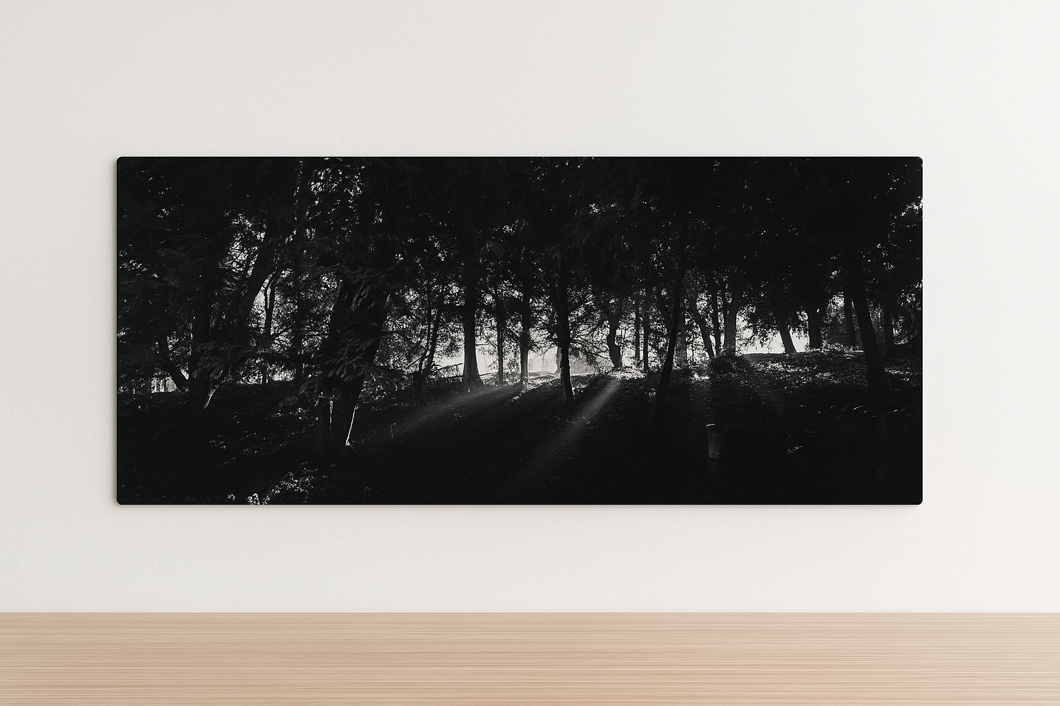 The Light – Paris Photography Print | Peaceful Nature Wall Art