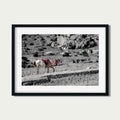 Desert Pause – Fine Art Photography Print from Petra, Jordan