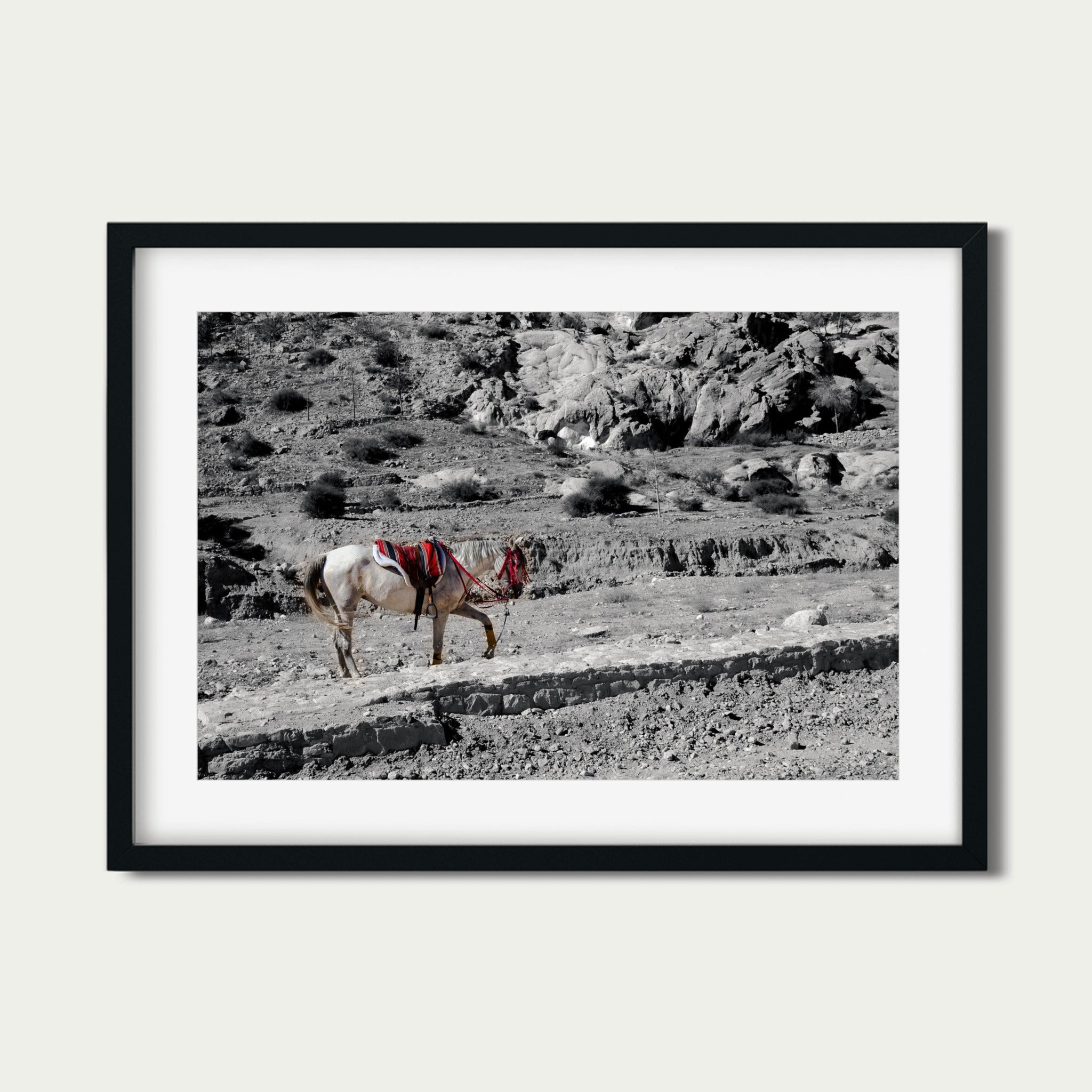 Desert Pause – Fine Art Photography Print from Petra, Jordan