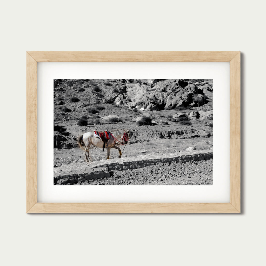 Desert Pause – Fine Art Photography Print from Petra, Jordan