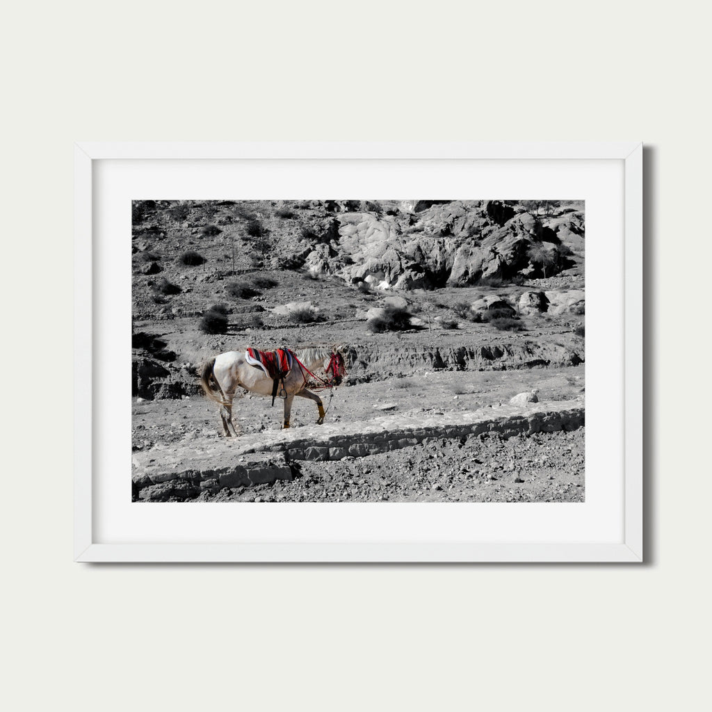 Desert Pause – Fine Art Photography Print from Petra, Jordan