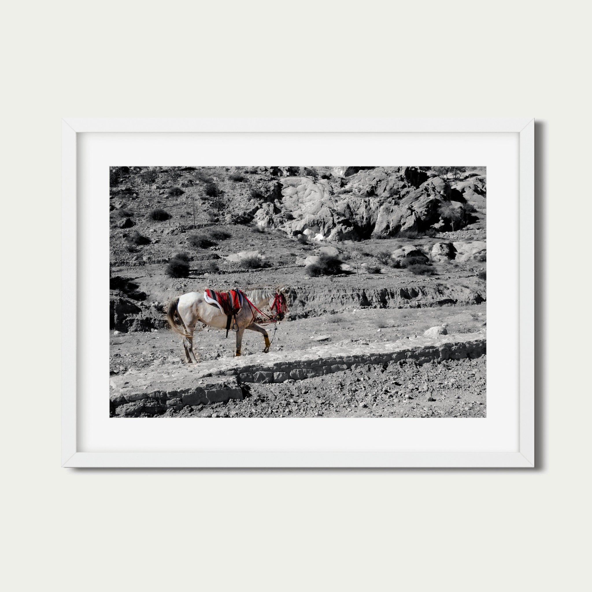 Desert Pause – Fine Art Photography Print from Petra, Jordan