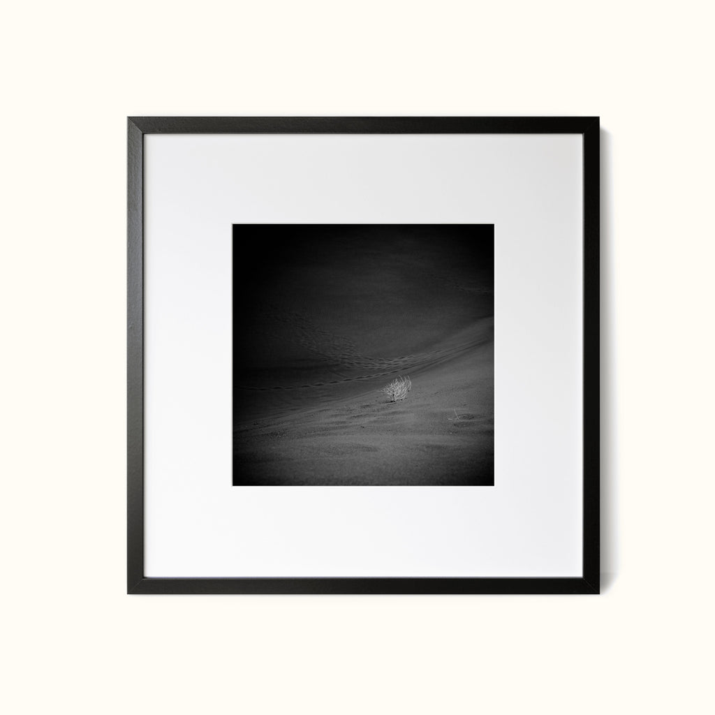 Desert Soliloquy – Fine Art Minimalist Desert Print with Tumbleweed