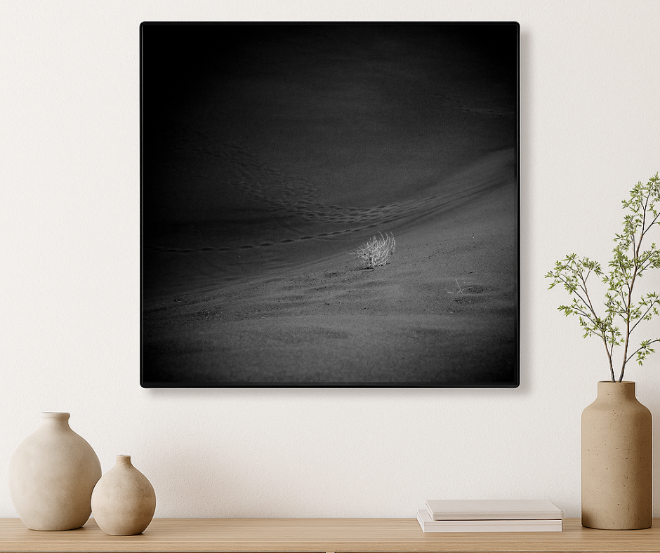 Desert Soliloquy – Fine Art Minimalist Desert Print with Tumbleweed