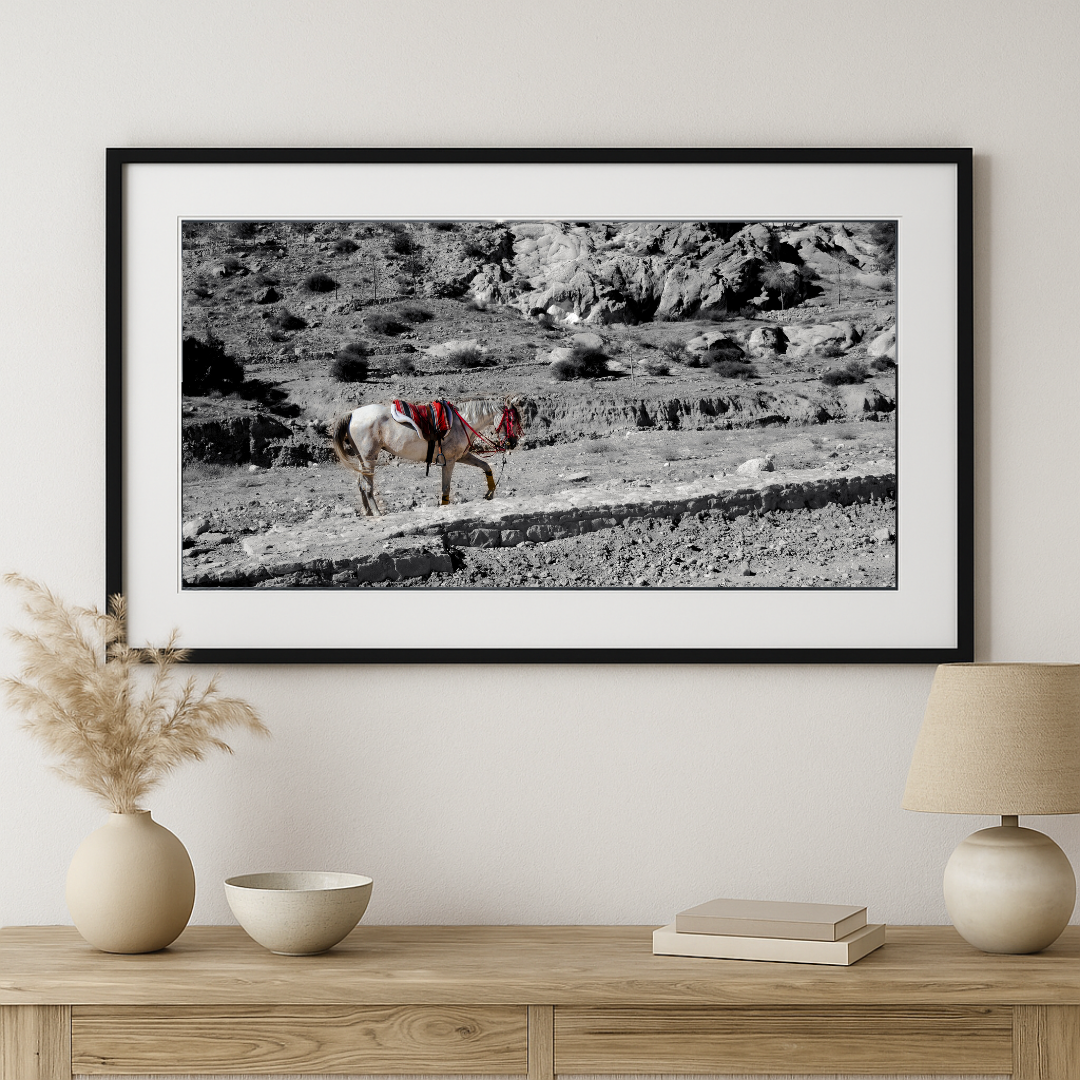 Desert Pause – Fine Art Photography Print from Petra, Jordan