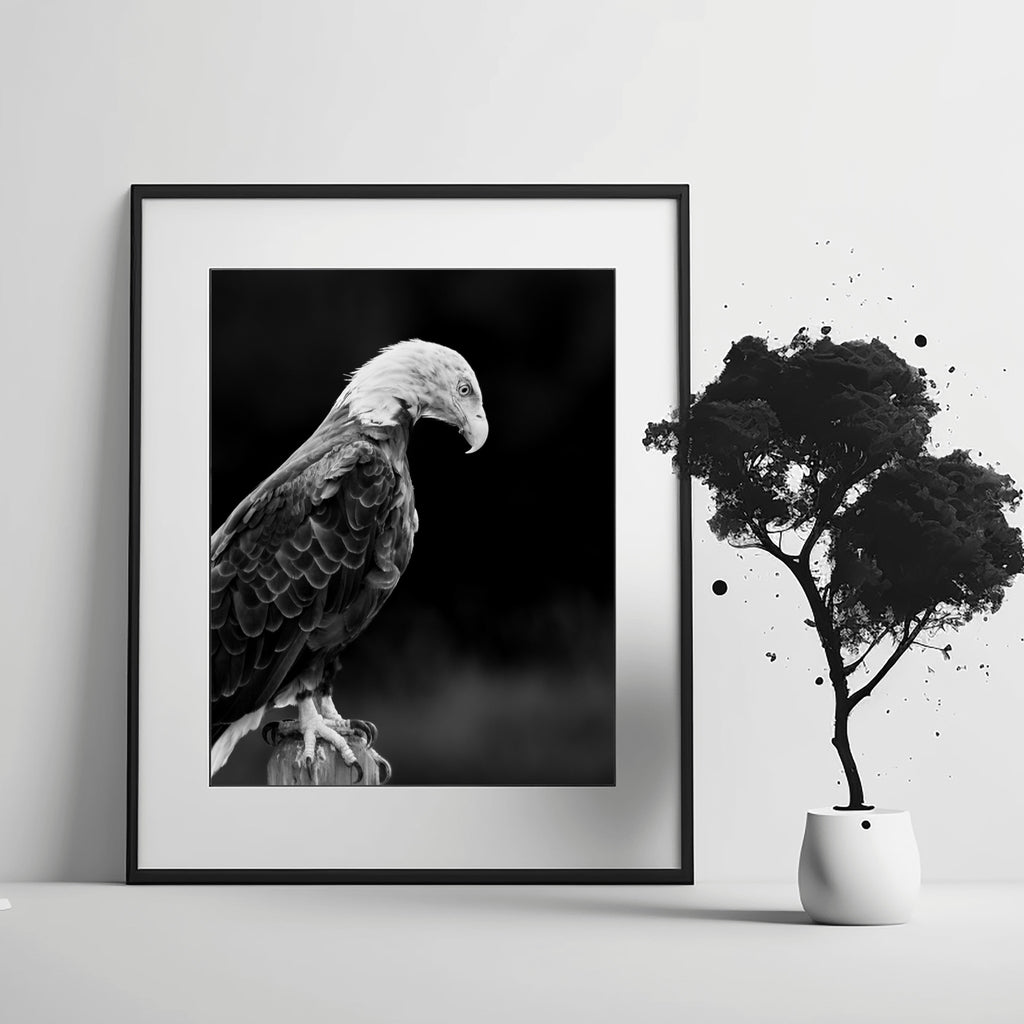 Enough | Fine Art Wildlife Photography Print