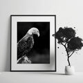 Enough | Fine Art Wildlife Photography Print