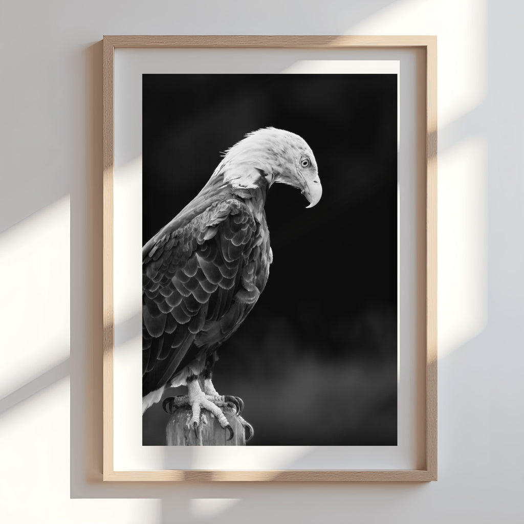 Enough | Fine Art Wildlife Photography Print
