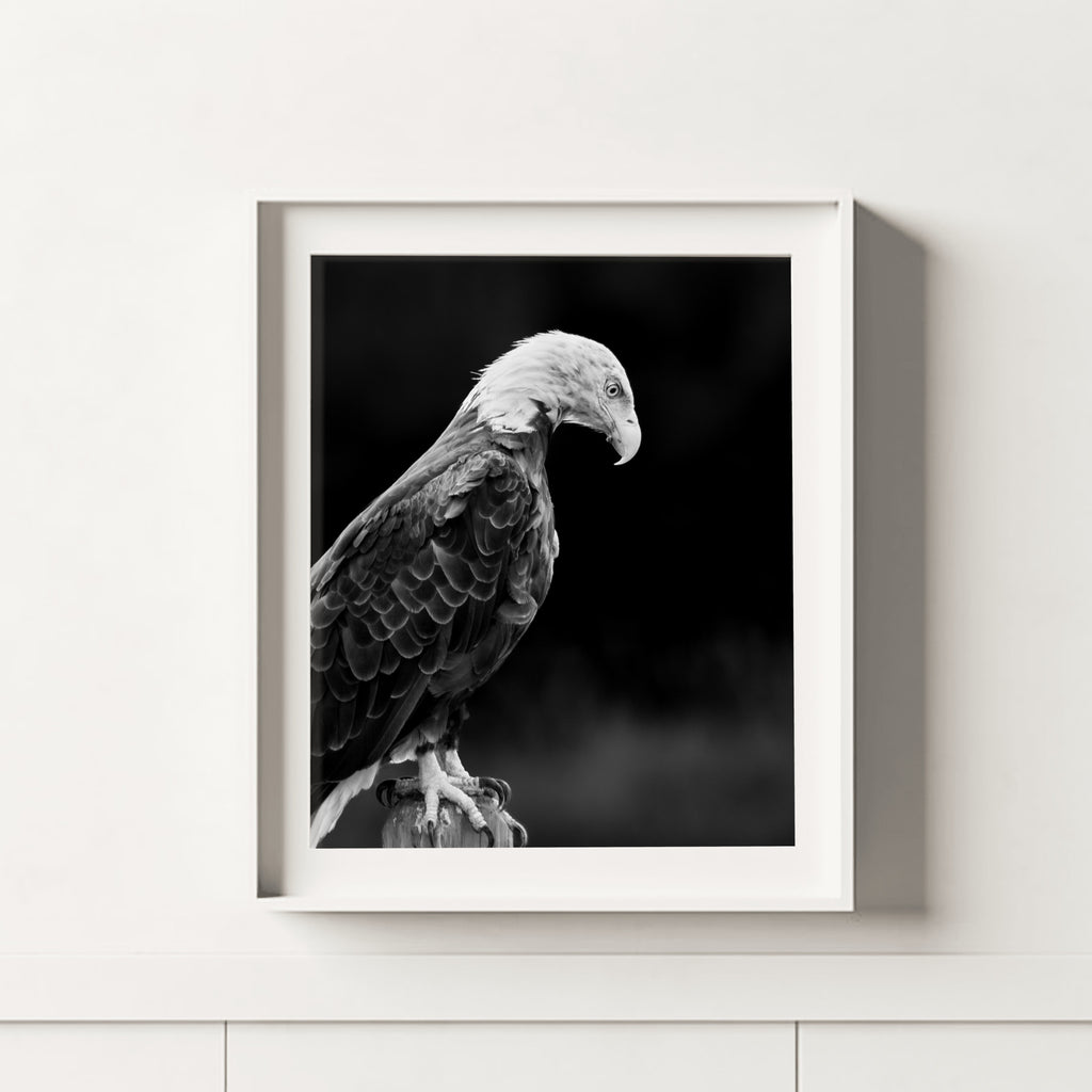 Enough | Fine Art Wildlife Photography Print