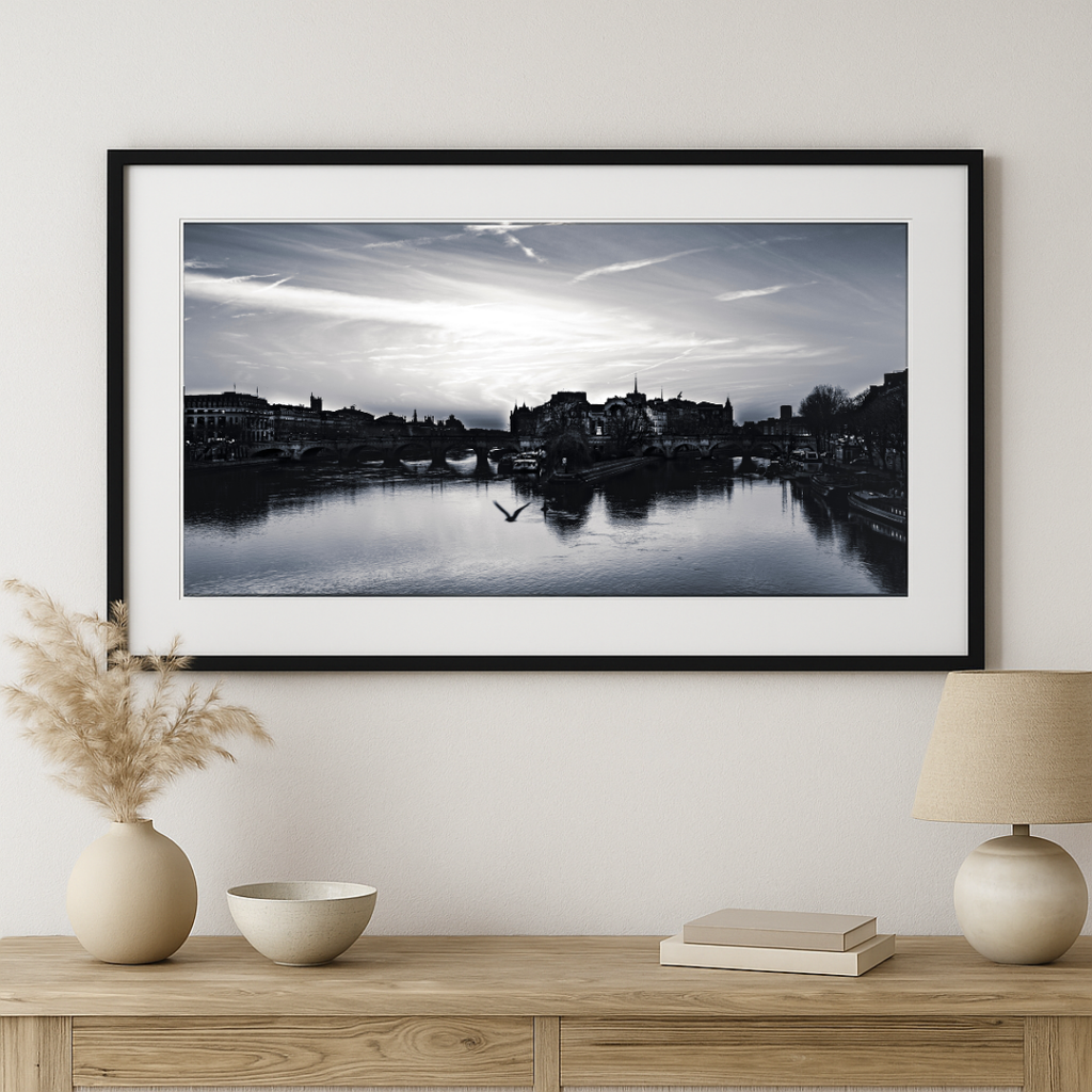 Flight Over Île de la Cité - Black and White Paris Photography Print