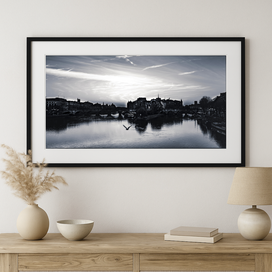 Flight Over Île de la Cité - Black and White Paris Photography Print