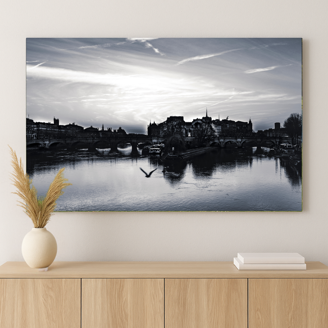Flight Over Île de la Cité - Black and White Paris Photography Print