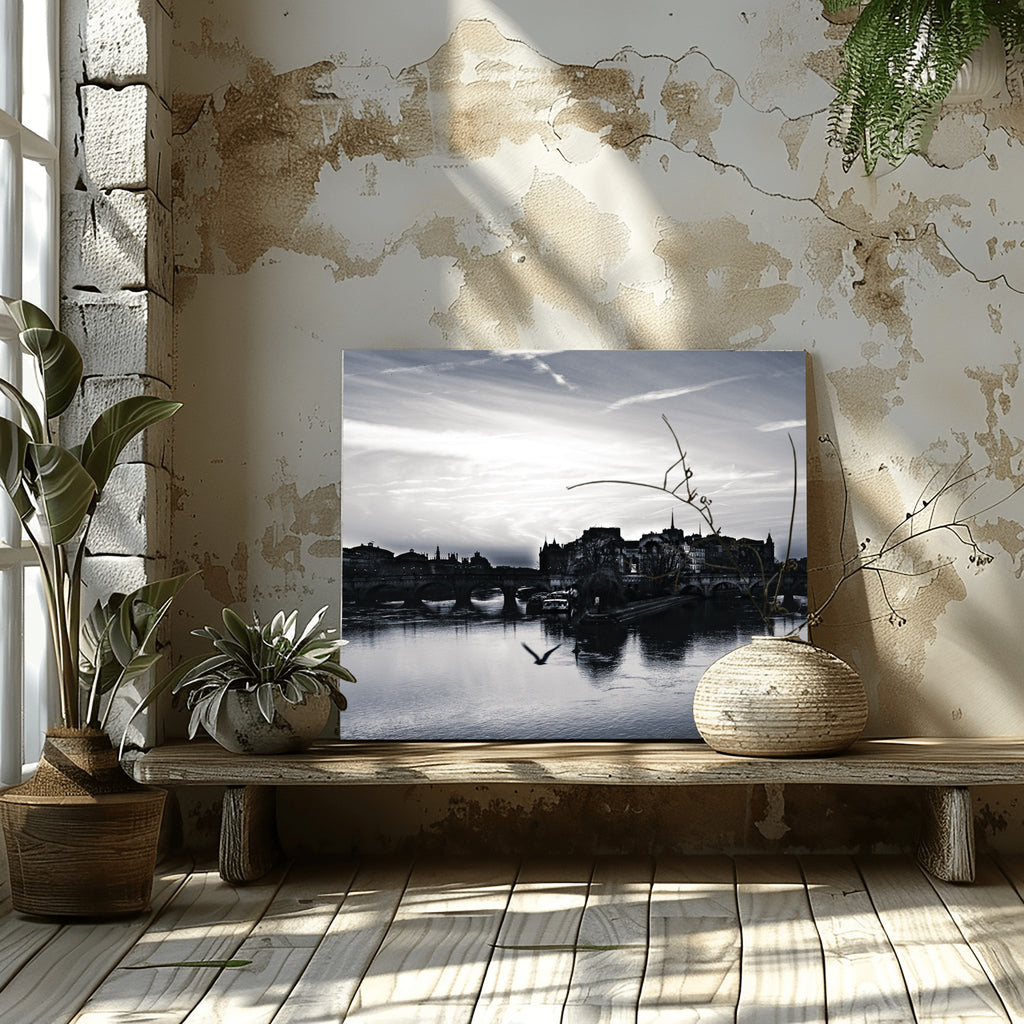 Flight Over Île de la Cité - Black and White Paris Photography Print