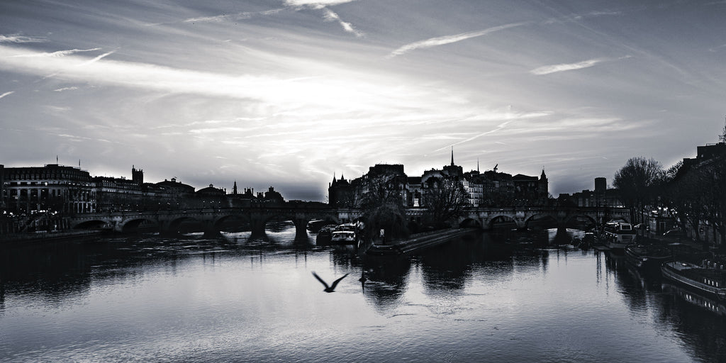 Flight Over Île de la Cité - Black and White Paris Photography Print