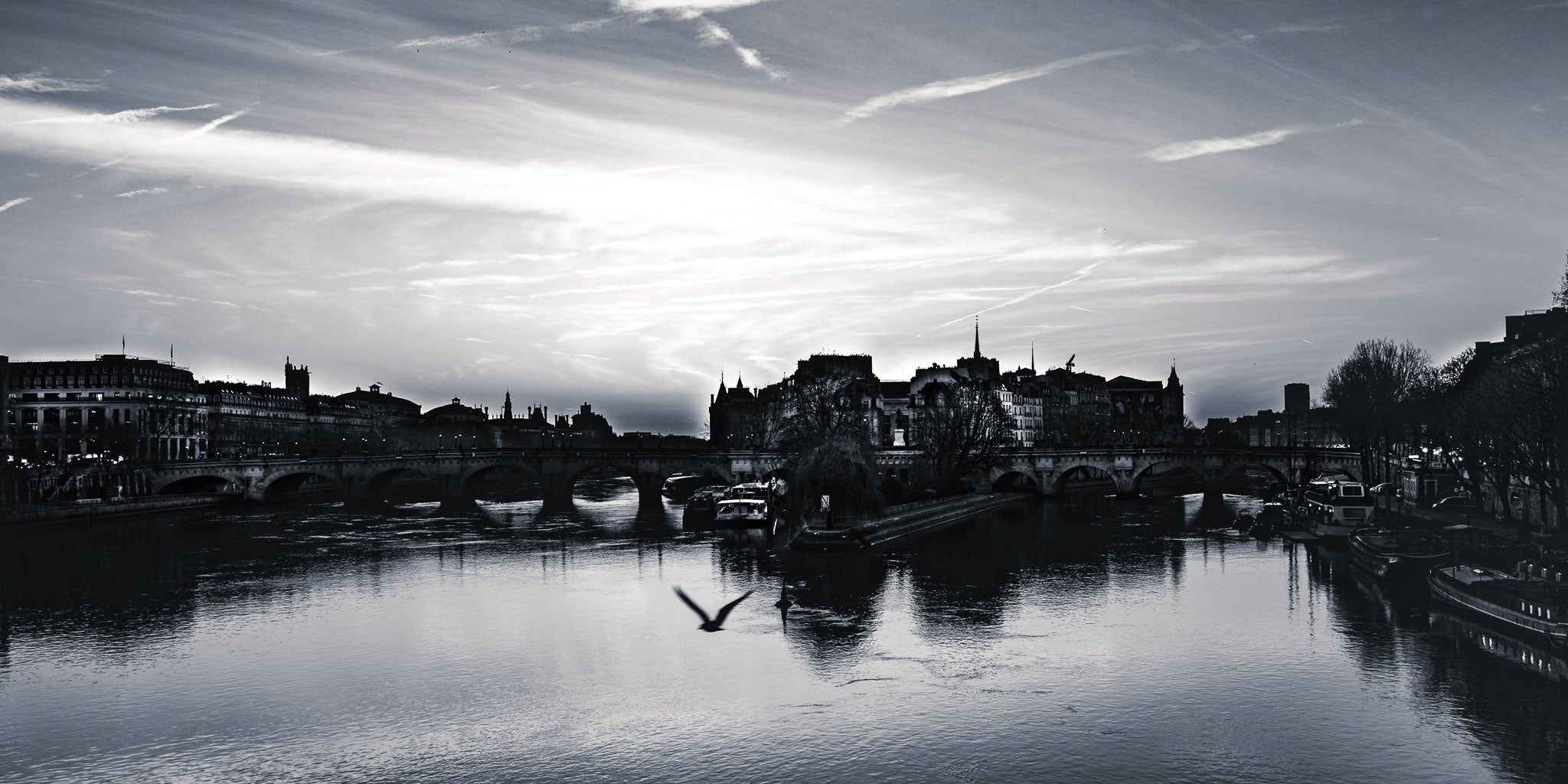 Flight Over Île de la Cité - Black and White Paris Photography Print