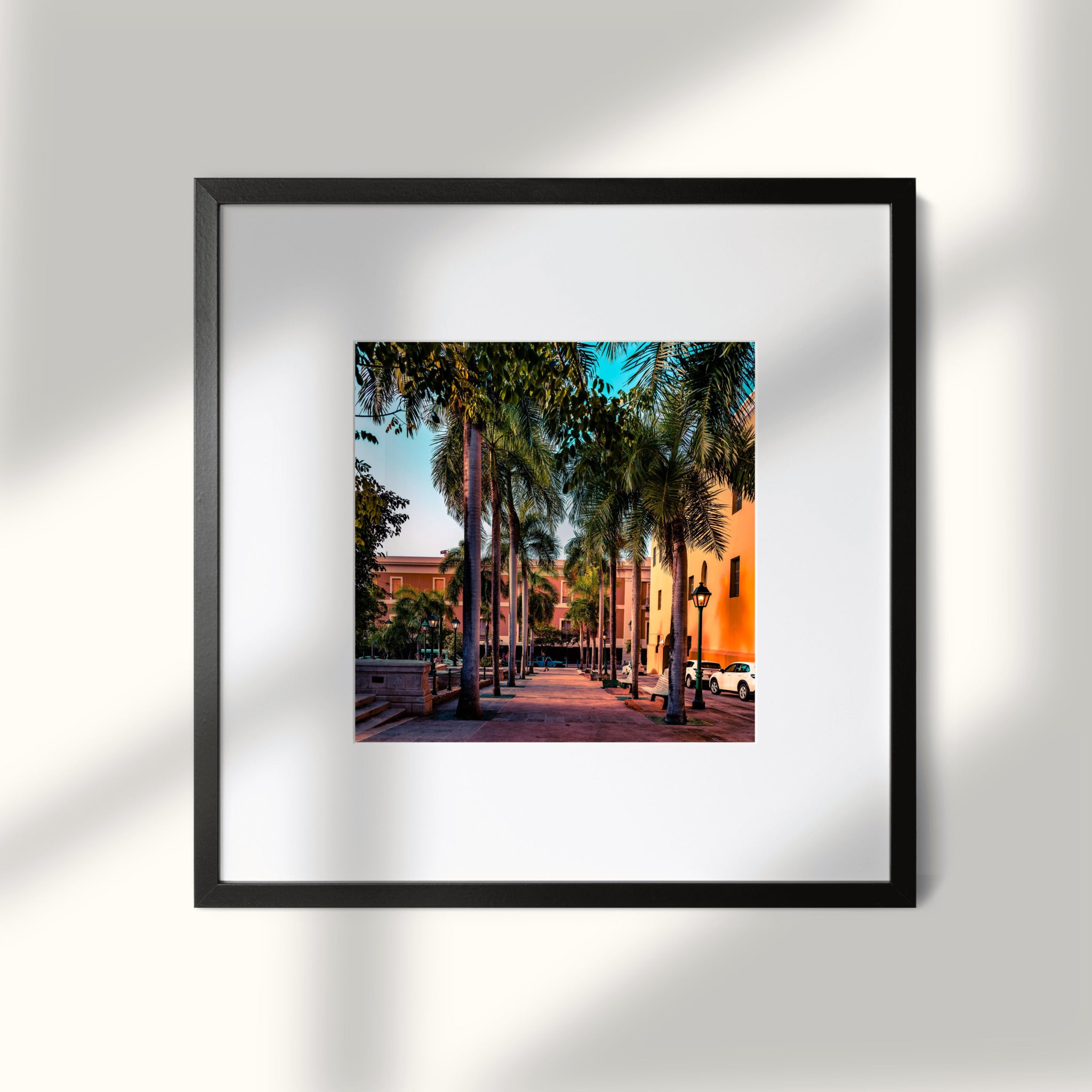 Golden Hour Promenade | Old San Juan Palm-Lined Walkway Print