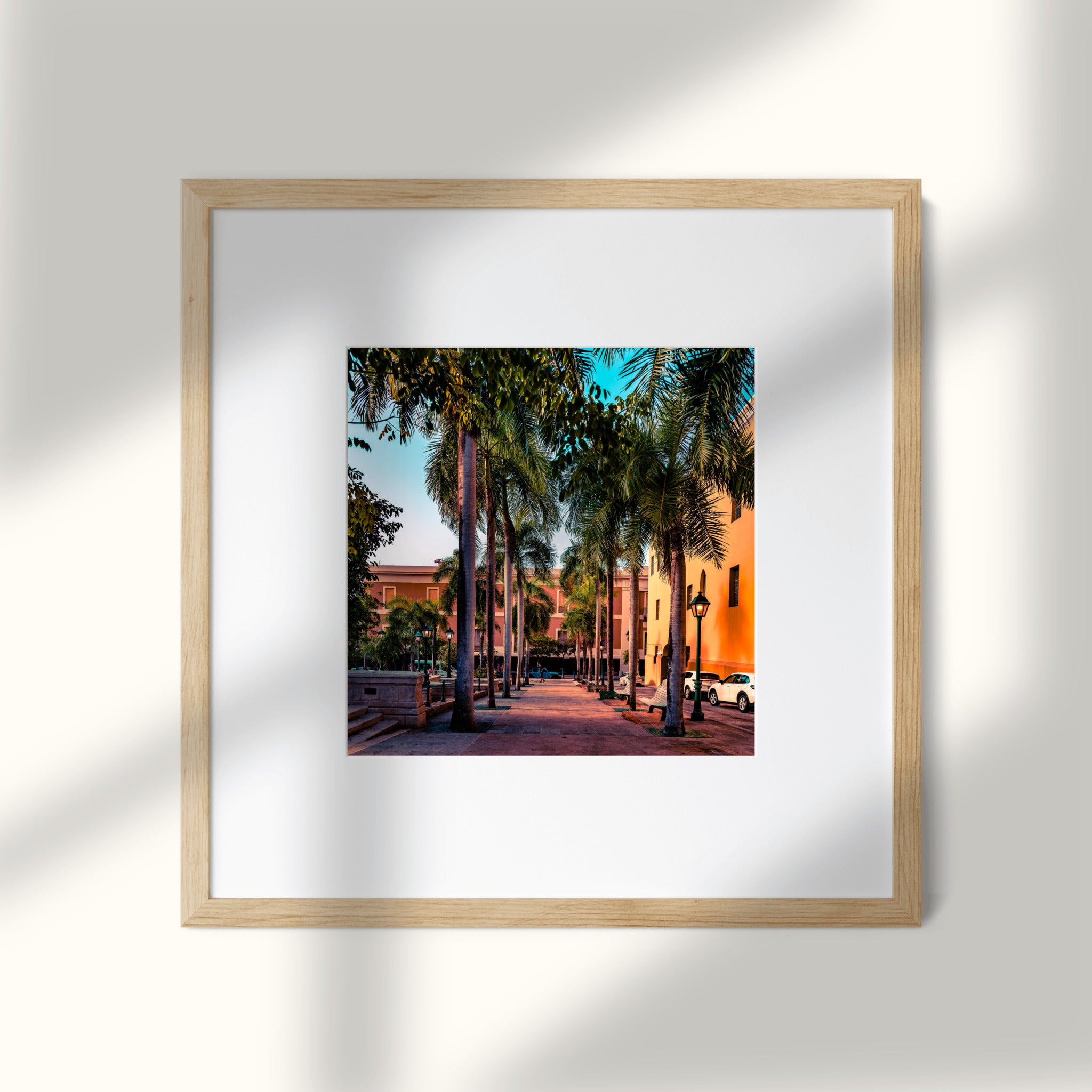 Golden Hour Promenade | Old San Juan Palm-Lined Walkway Print