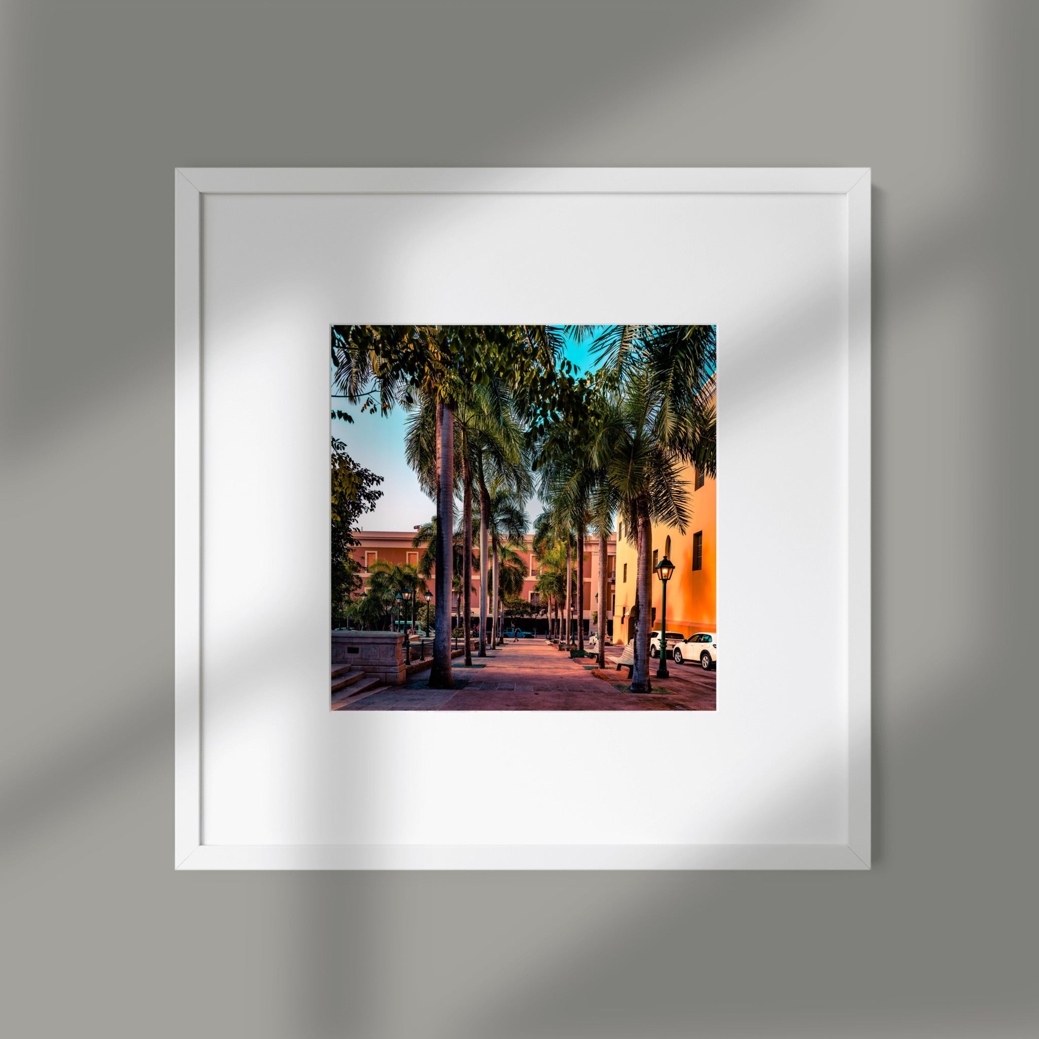 Golden Hour Promenade | Old San Juan Palm-Lined Walkway Print