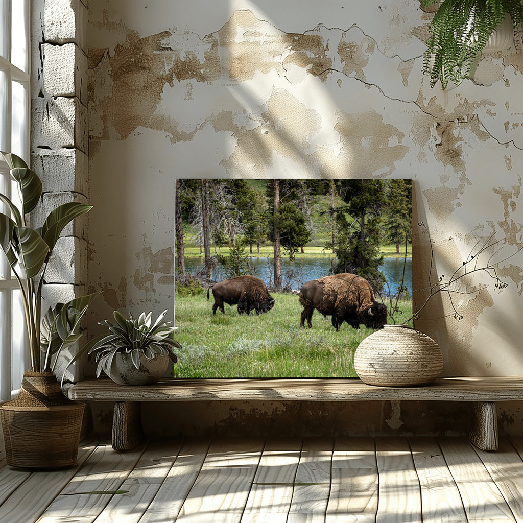 Grazing the Edge - Lamar Valley | Yellowstone Fine Art Print