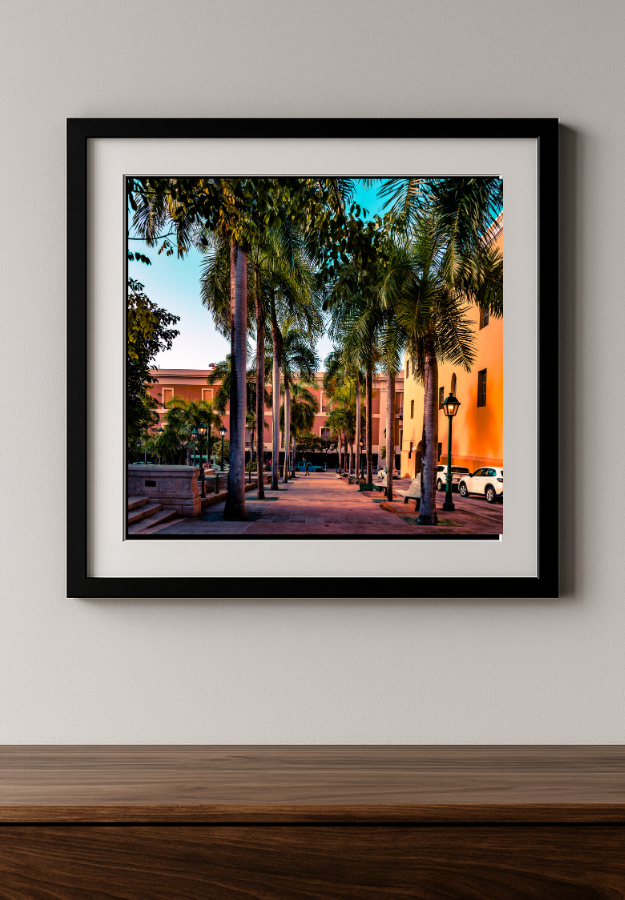 Golden Hour Promenade | Old San Juan Palm-Lined Walkway Print