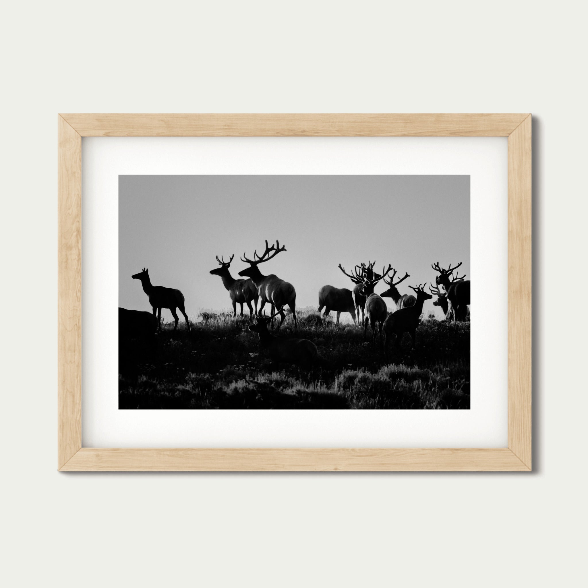 Guardians | Grand Tetons Wildlife Fine Art Print