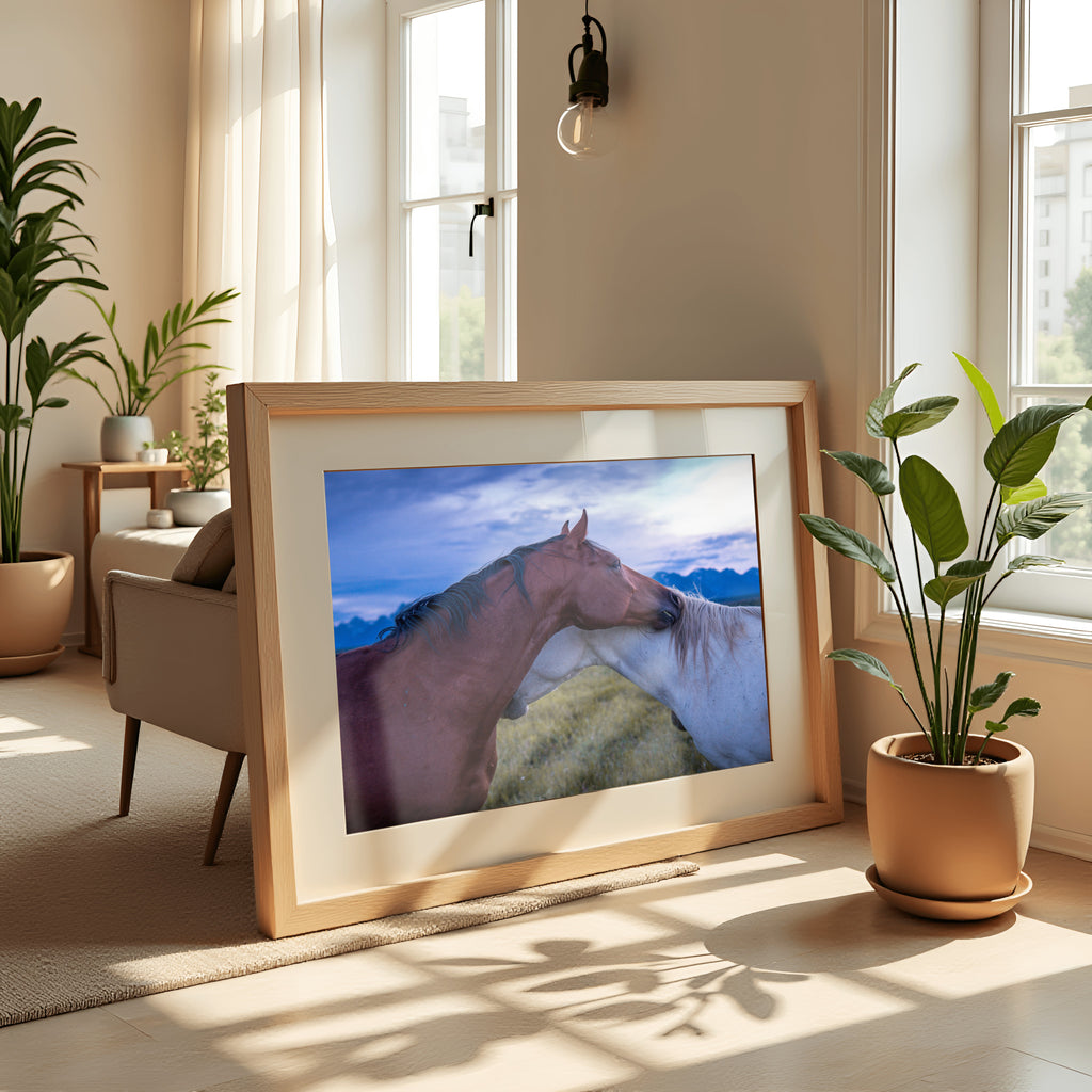 Held | Fine Art Horse Photography Print | Grand Teton National Park