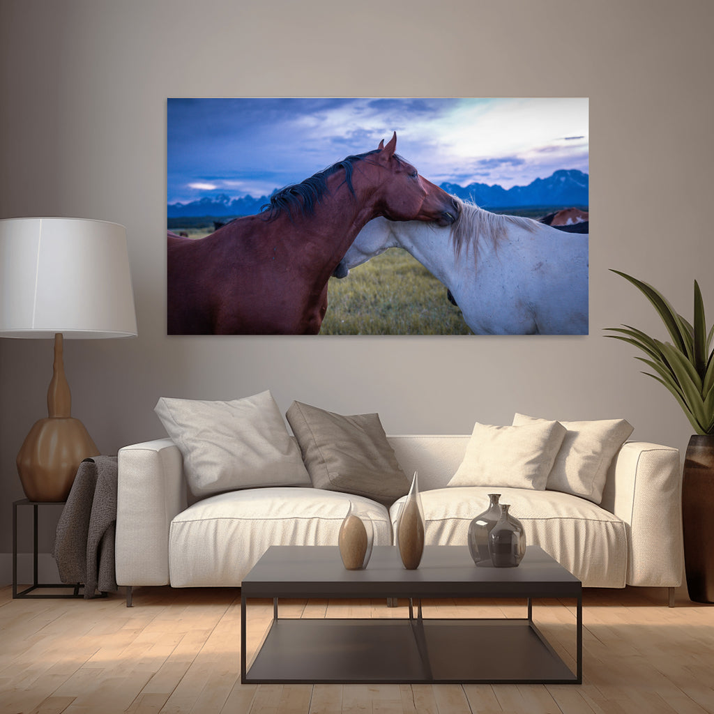 Held | Fine Art Horse Photography Print | Grand Teton National Park