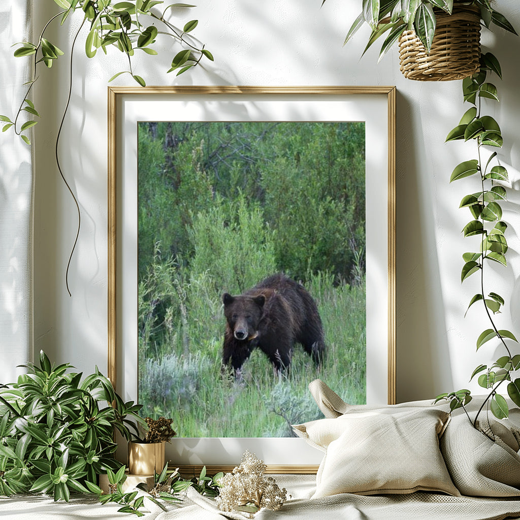 In Her Wake - Grand Tetons Wildlife Fine Art Print