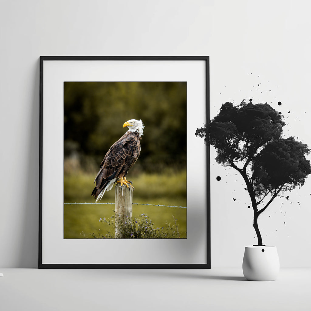 Nothing to Prove | Fine Art Wildlife Photography Print