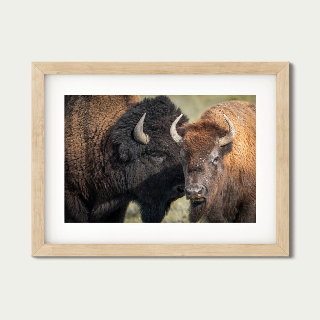 Only We Know | Bison Fine Art Photography