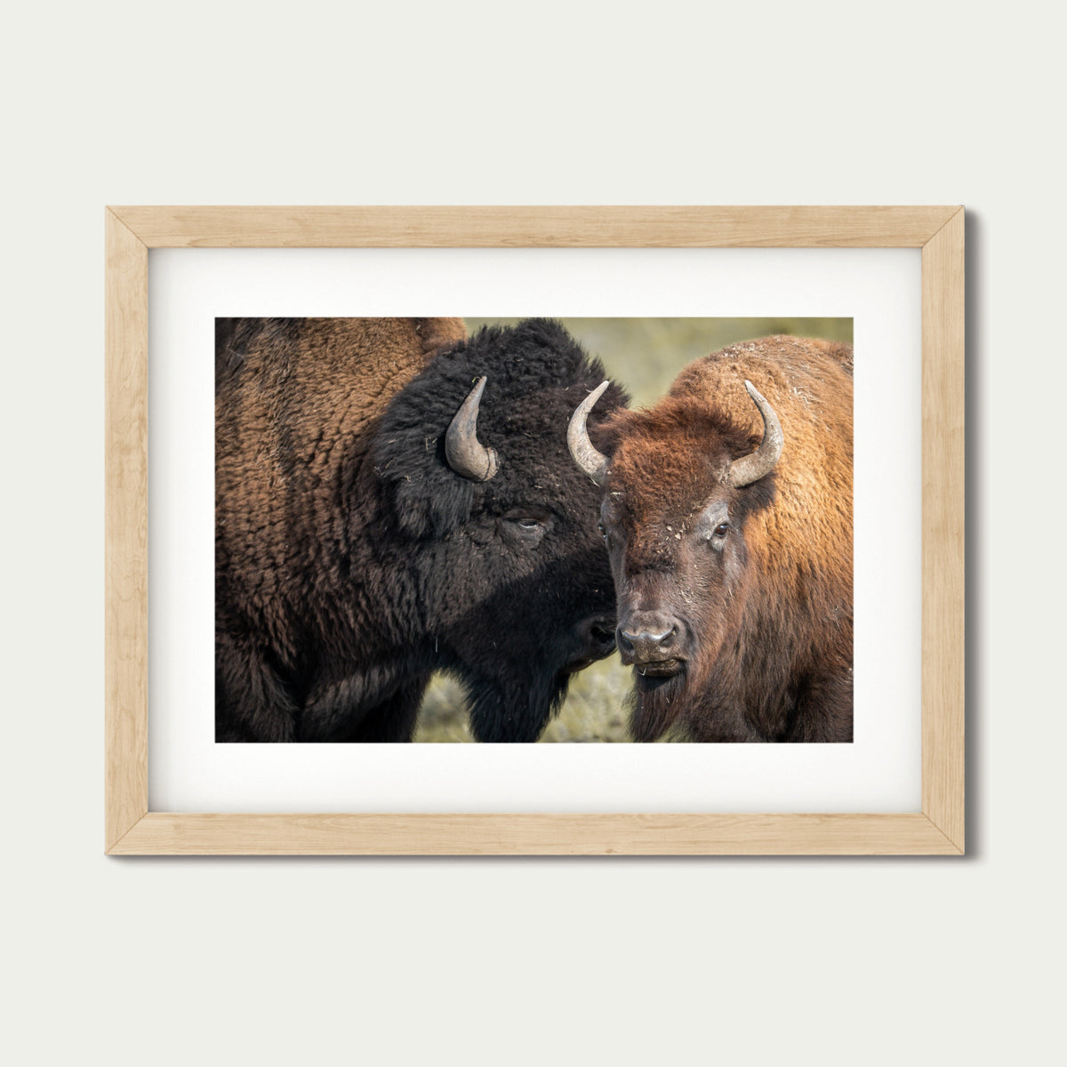 Only We Know | Bison Fine Art Photography