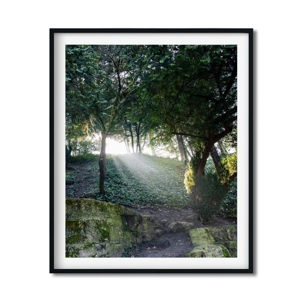 The Path in Paris – Tranquil Fine Art Forest Photography Print