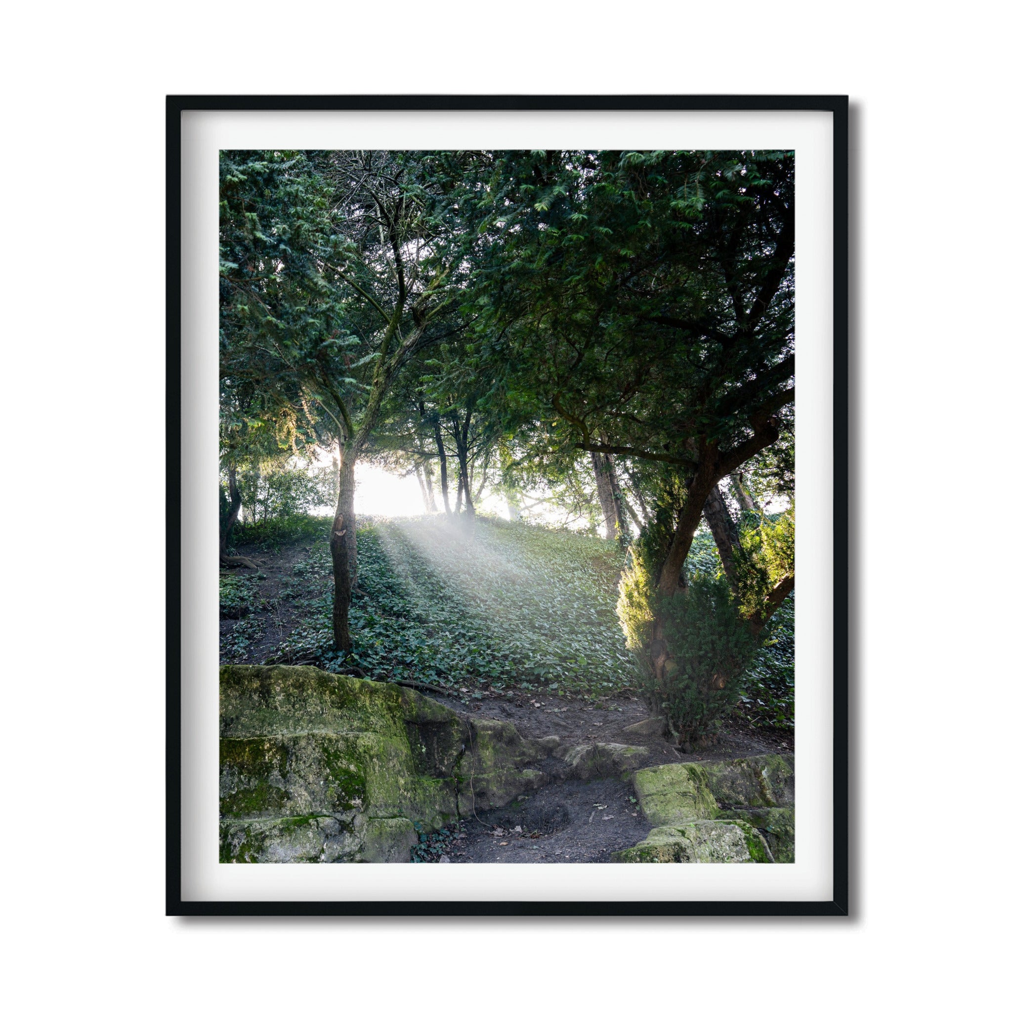 The Path in Paris – Tranquil Fine Art Forest Photography Print