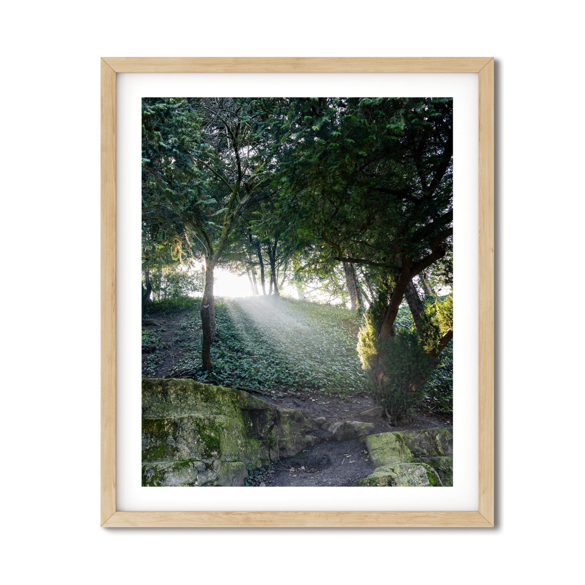 The Path in Paris – Tranquil Fine Art Forest Photography Print