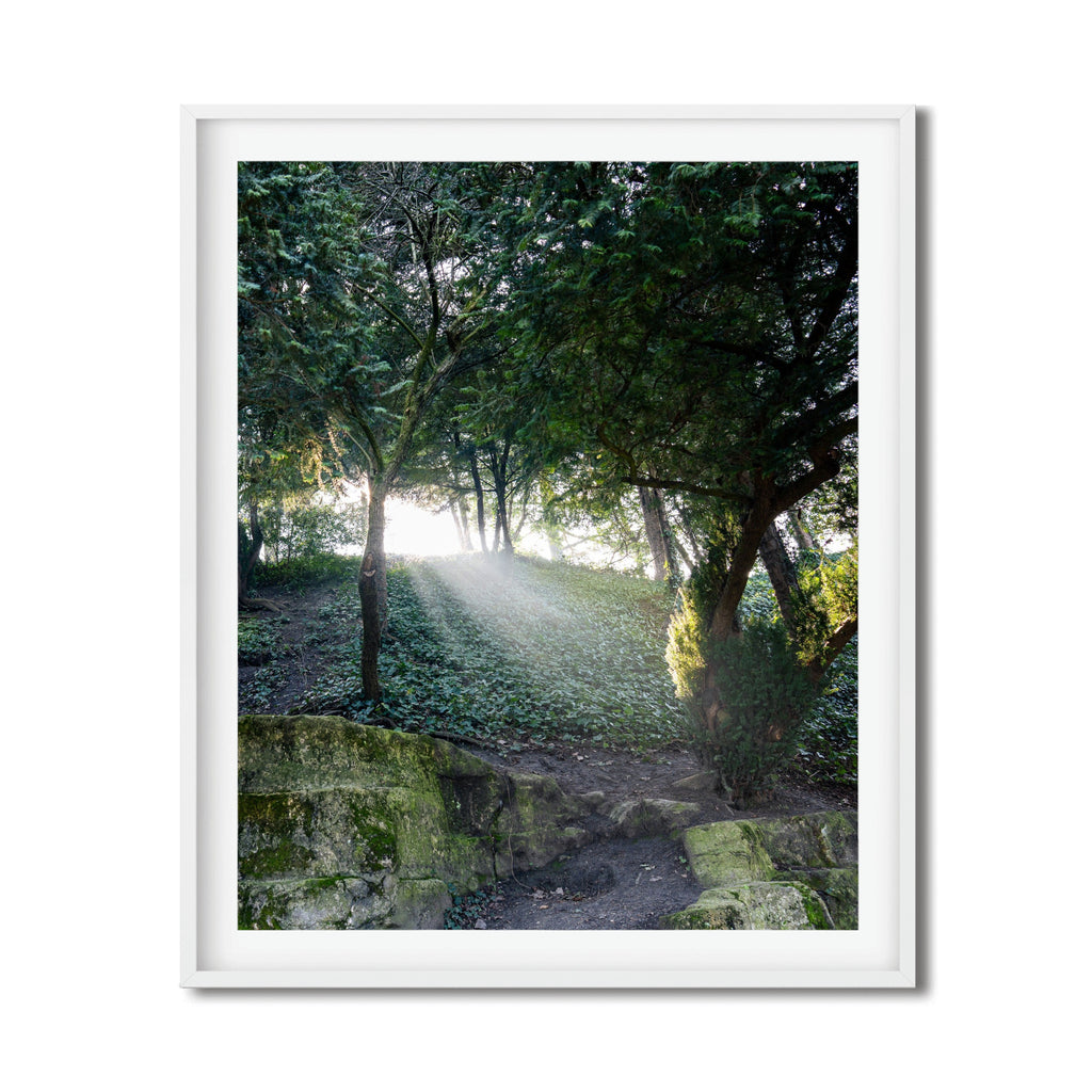 The Path in Paris – Tranquil Fine Art Forest Photography Print