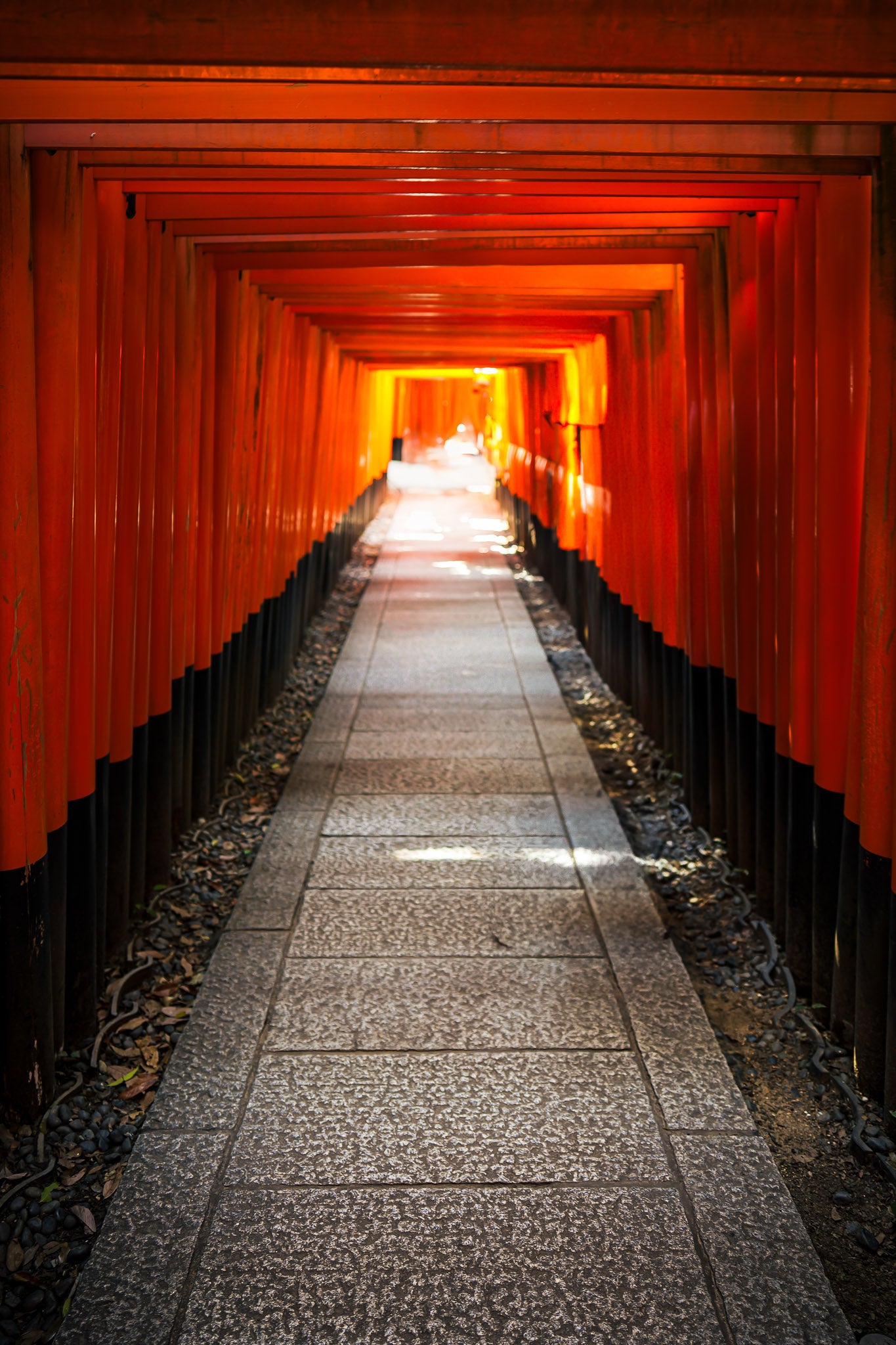 Fushimi Inari Shrine Torii Gate Corridor | Kyoto Japan Photography Print