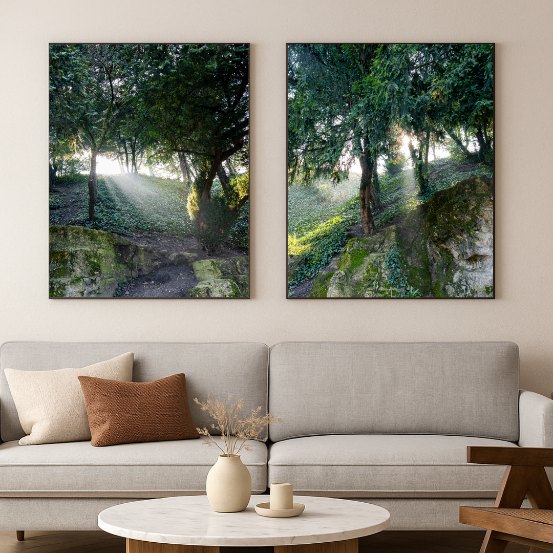 The Light in Paris – Fine Art Print of Morning Forest Light in Paris
