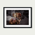 Rest in Petra – Camel Portraits in Petra, Jordan | Middle Eastern Fine Art Photography