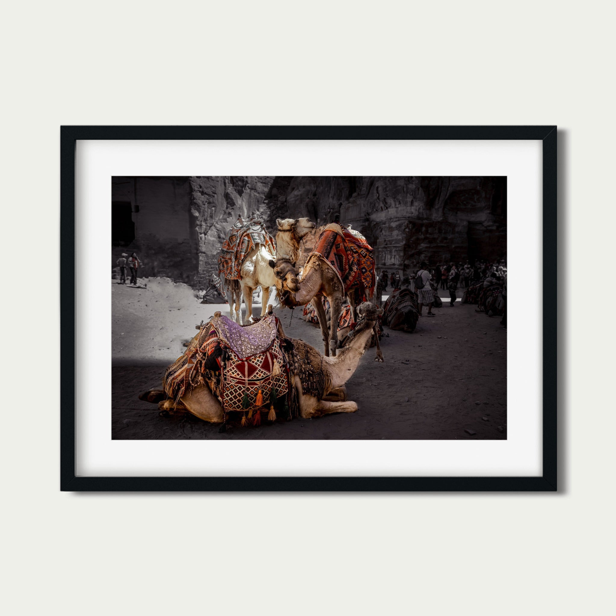 Rest in Petra – Camel Portraits in Petra, Jordan | Middle Eastern Fine Art Photography