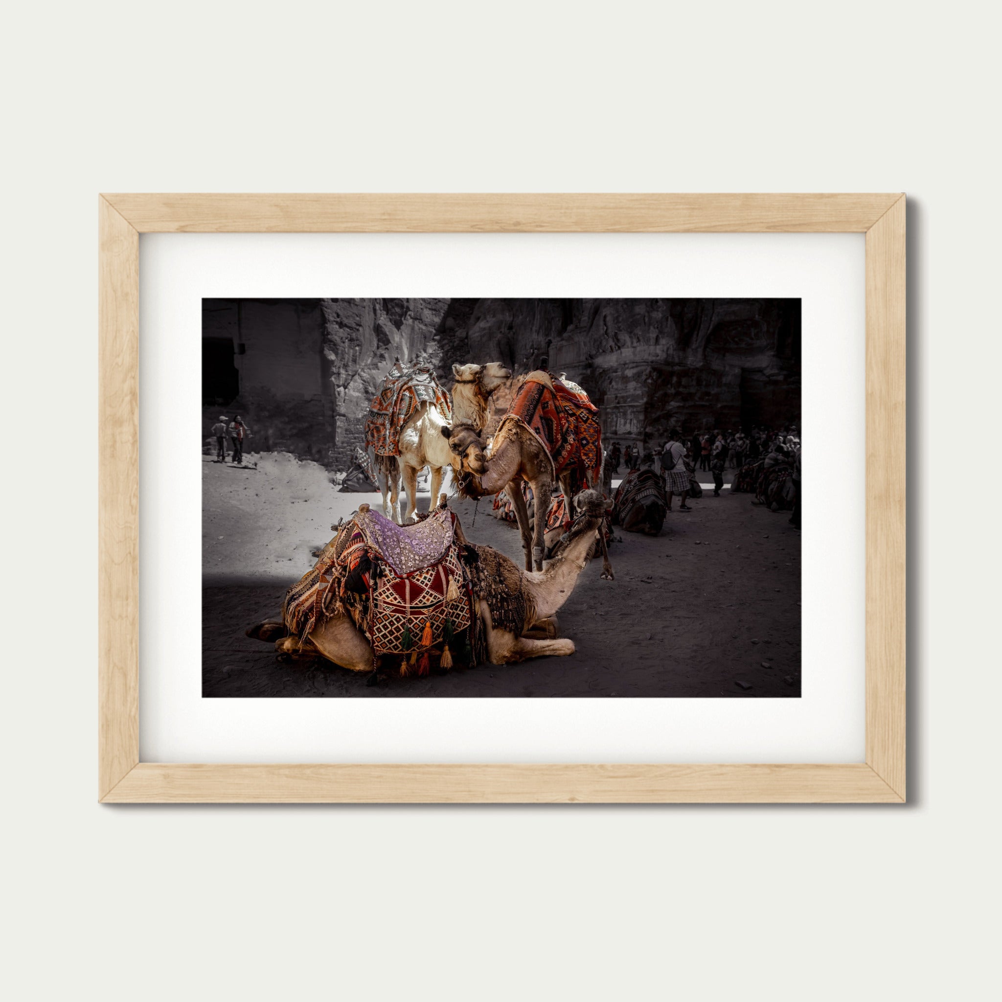 Rest in Petra – Camel Portraits in Petra, Jordan | Middle Eastern Fine Art Photography
