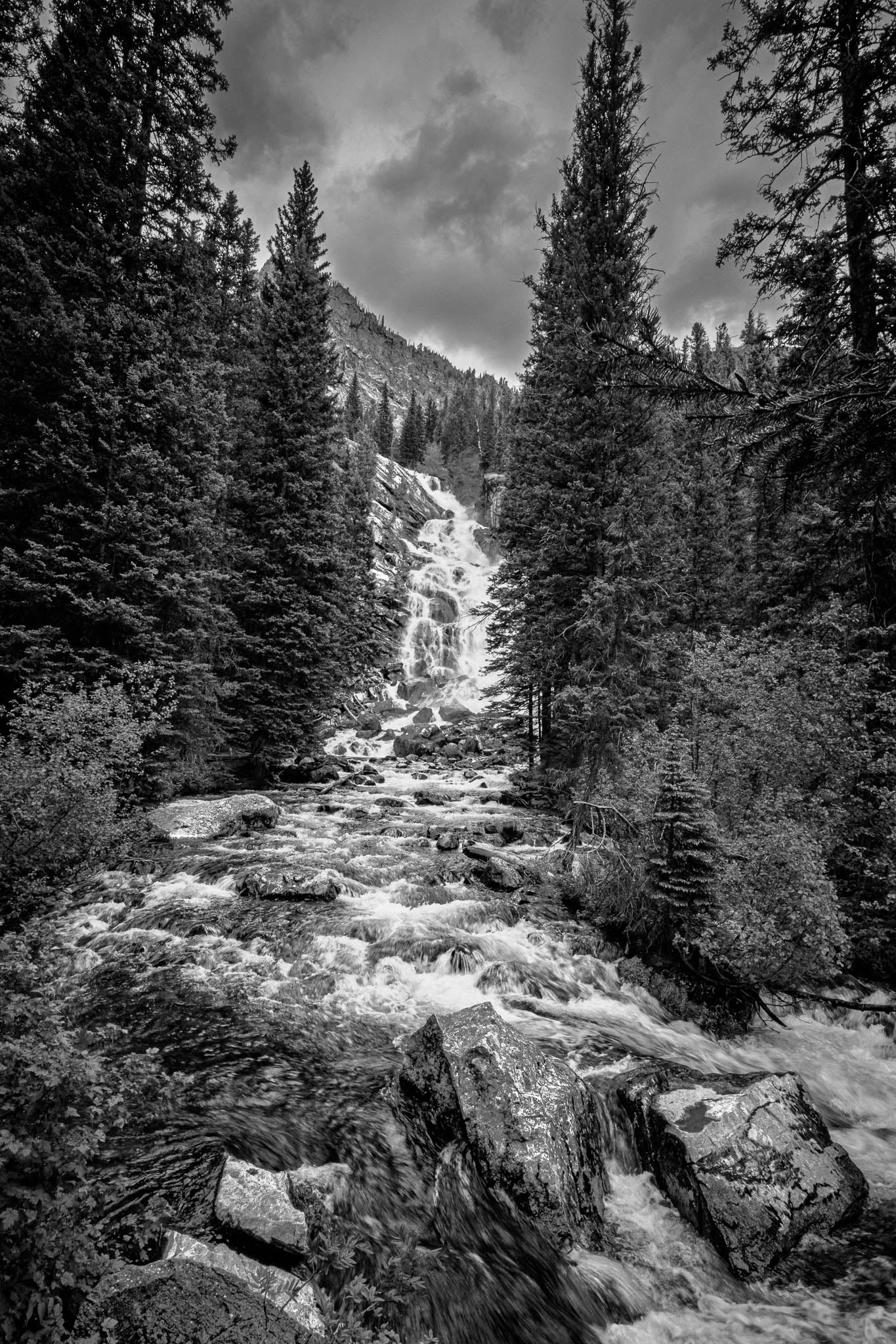 Remain Wild - Grand Tetons Fine Art Print