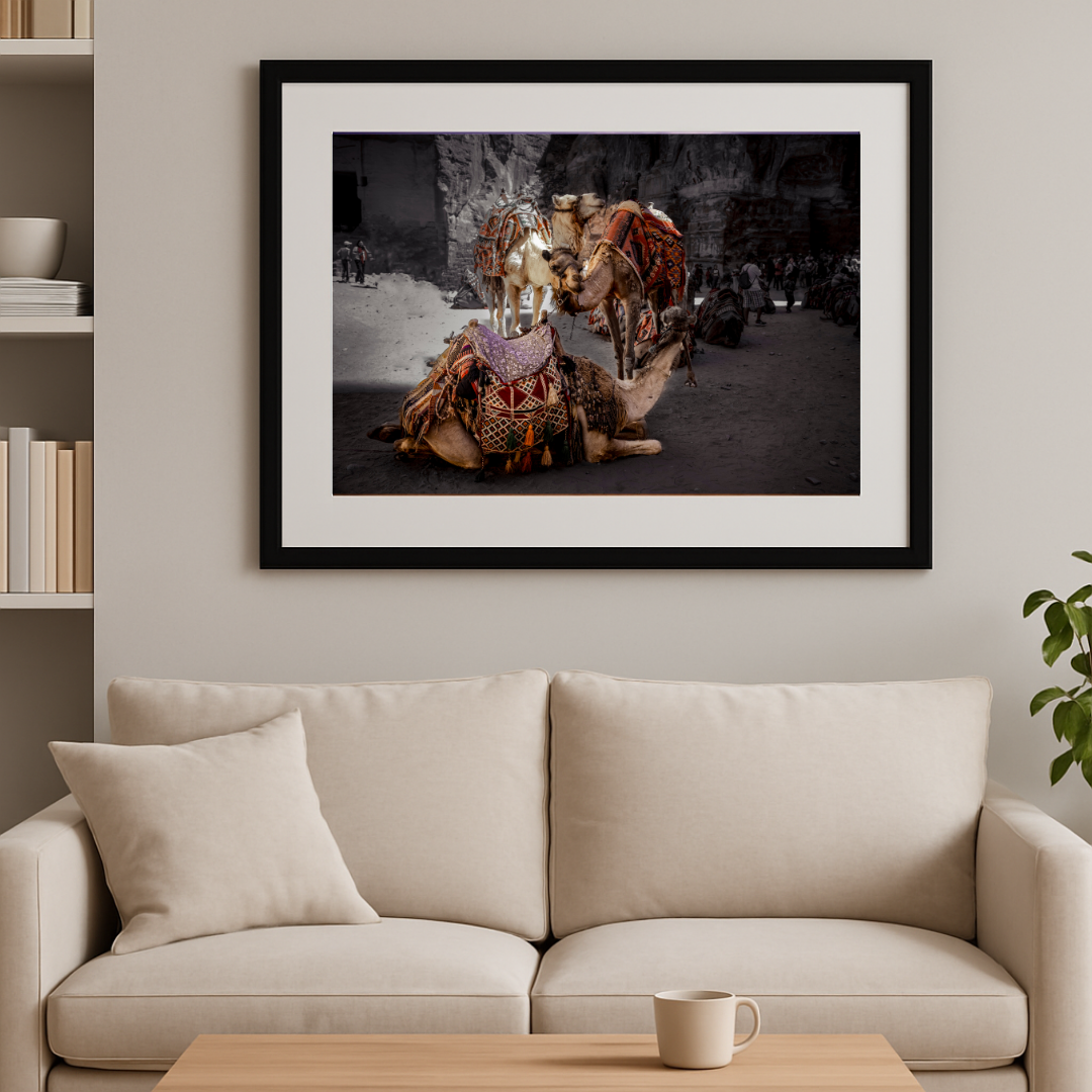 Rest in Petra – Camel Portraits in Petra, Jordan | Middle Eastern Fine Art Photography