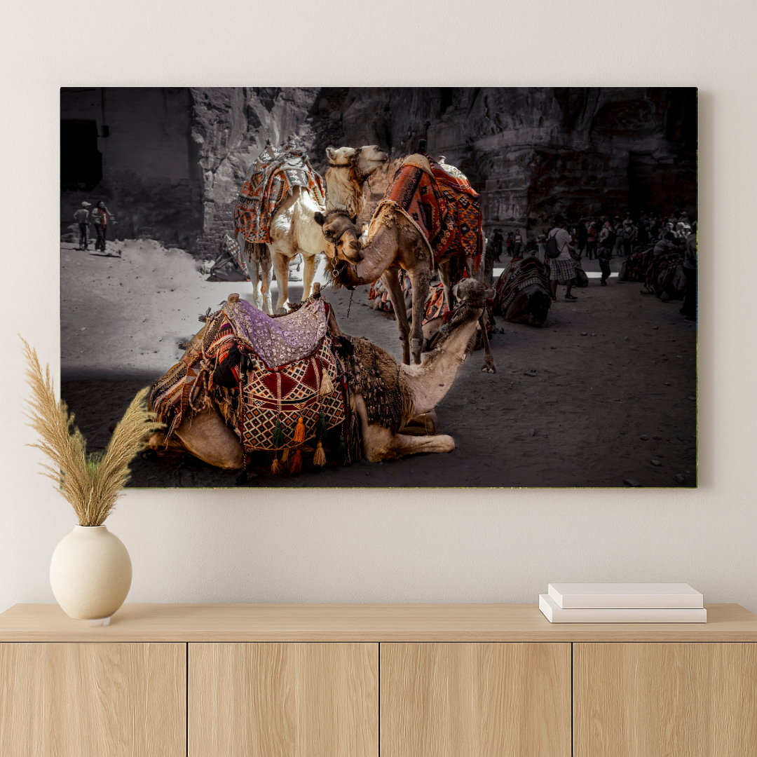 Rest in Petra – Camel Portraits in Petra, Jordan | Middle Eastern Fine Art Photography
