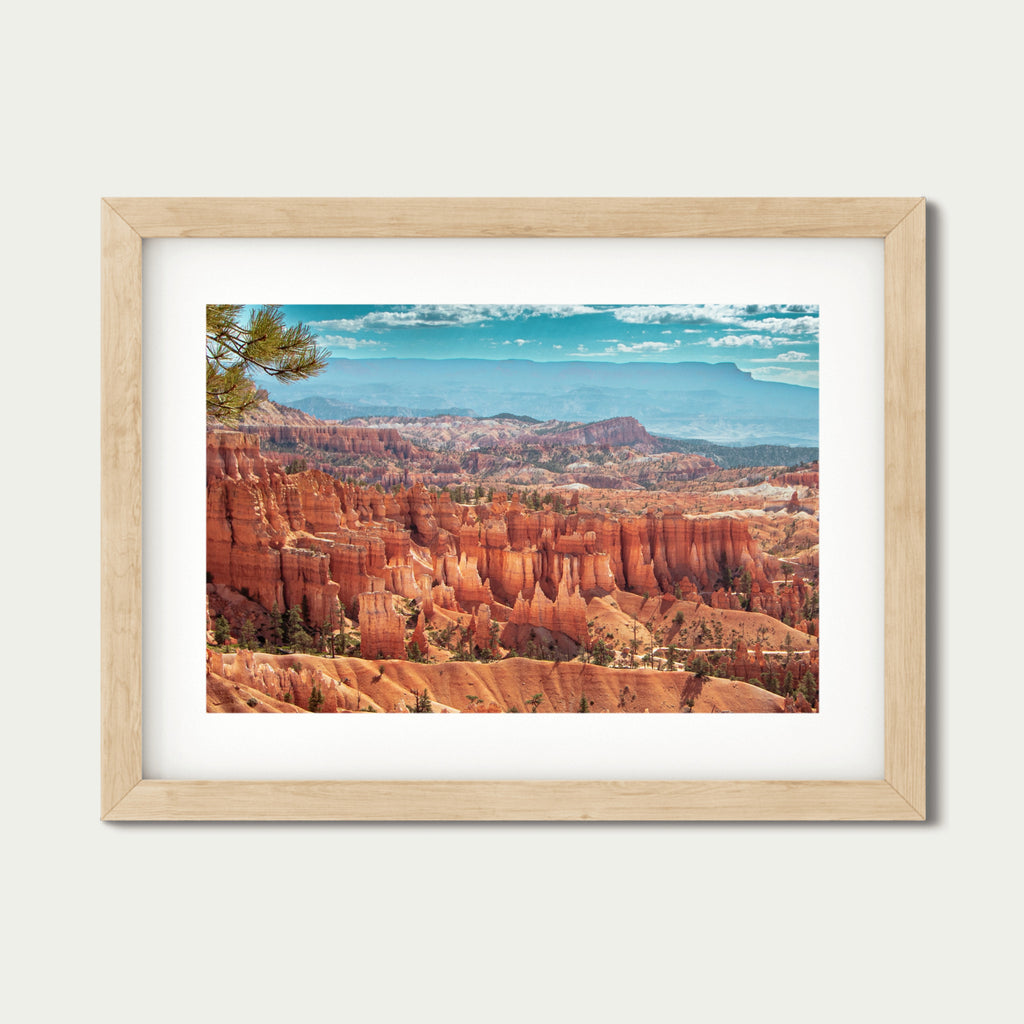 Sculpted by Time | Bryce Canyon National Park Hoodoo Landscape Print