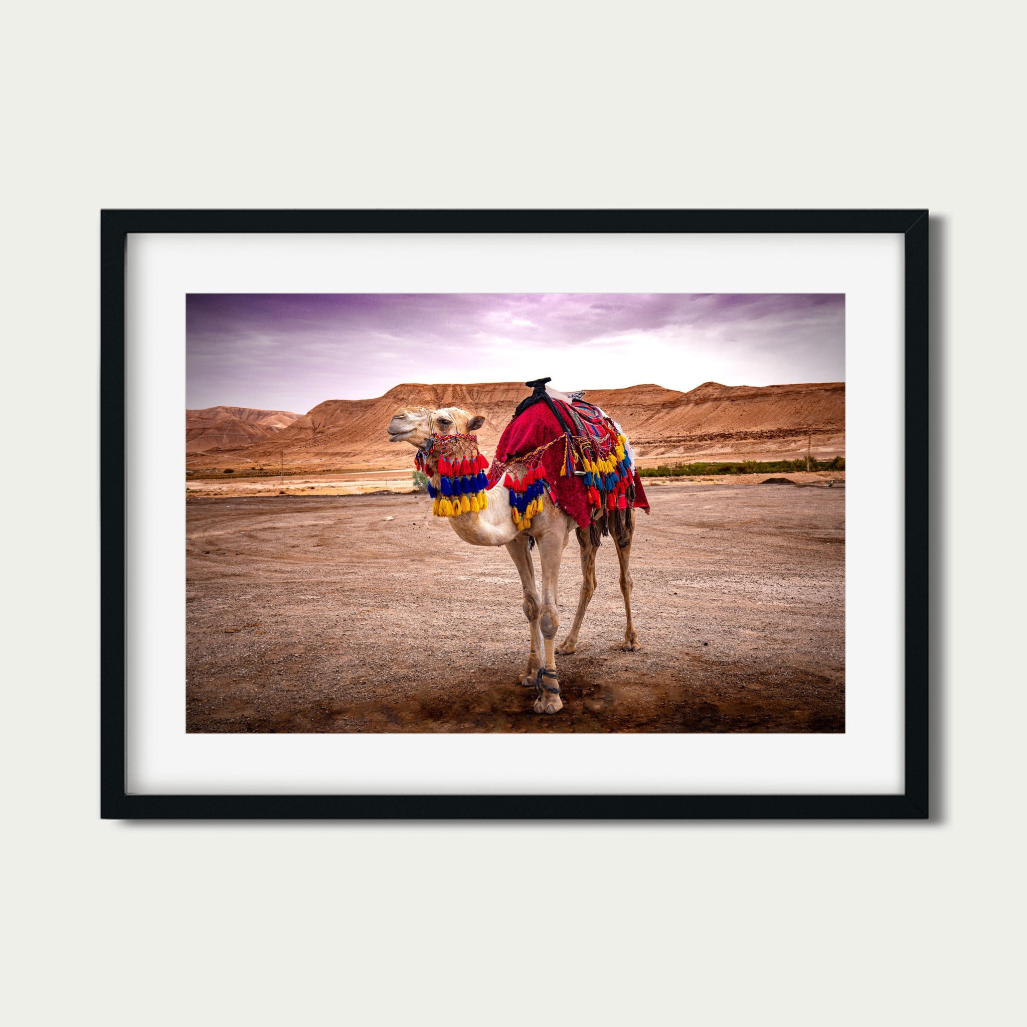 Spirit of the Desert – Bedouin Camel in Wadi Rum, Jordan | Fine Art Photography Print