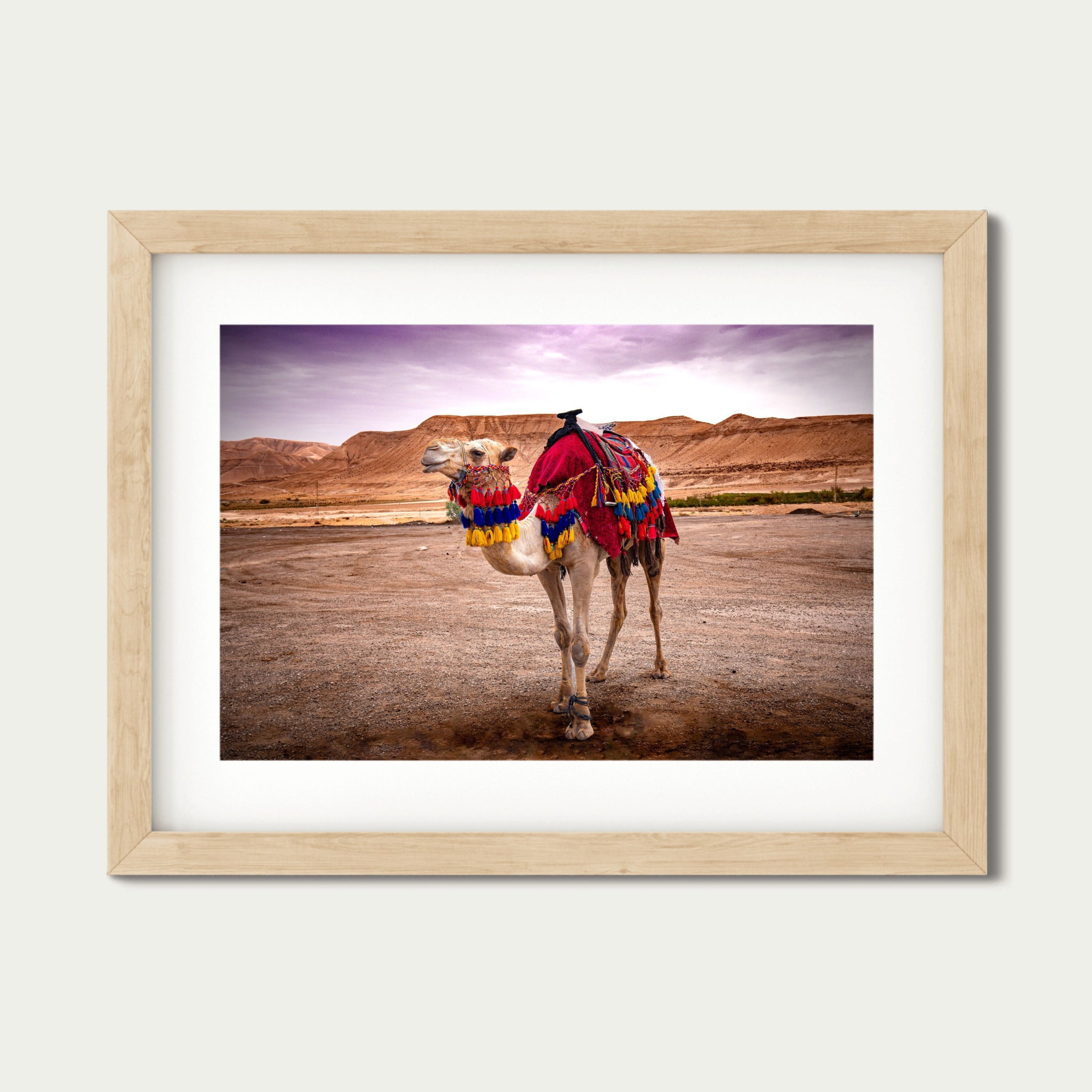Spirit of the Desert – Bedouin Camel in Wadi Rum, Jordan | Fine Art Photography Print